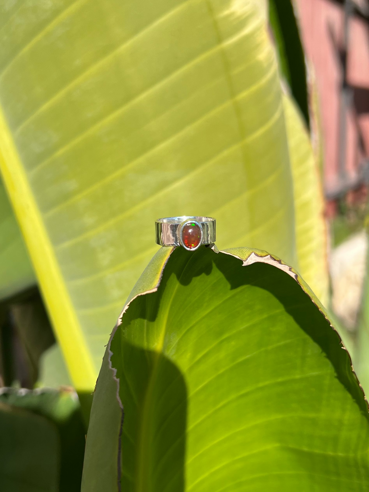 Ring with a red gemstone on a large green leaf