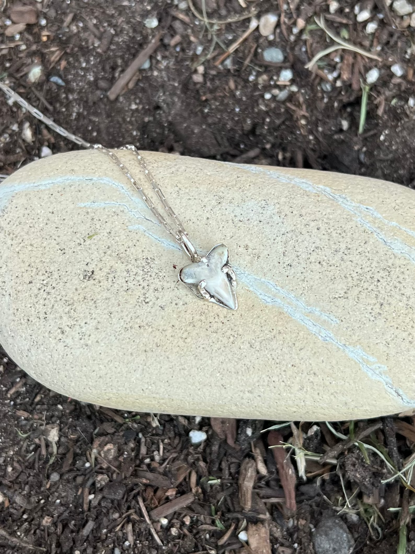 shark tooth necklace on a rock in a garaden