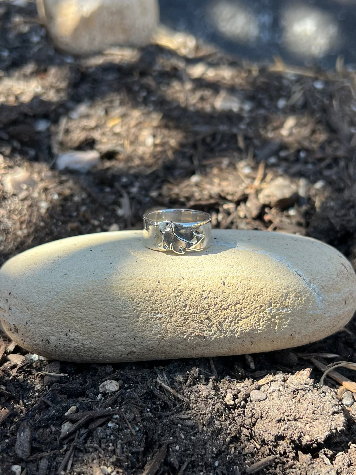 Sterling Silver Seal Band- Size 7.75