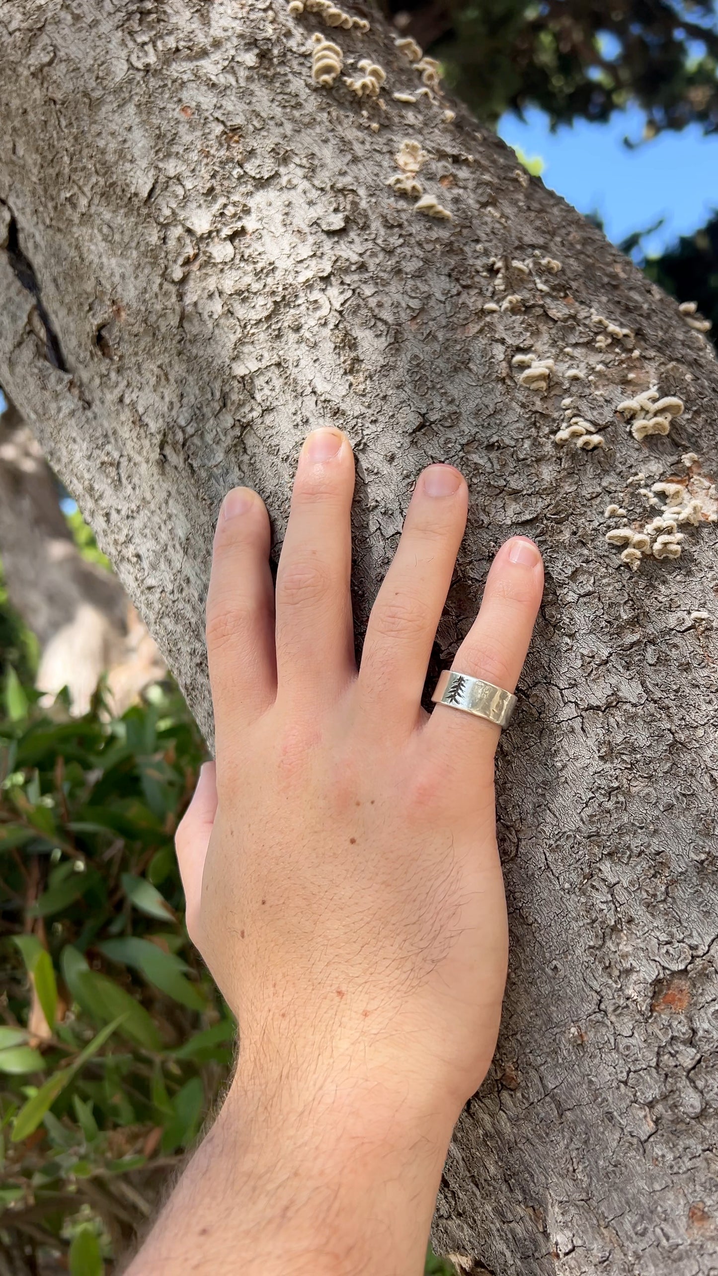 Engraved Pine Tree Band Ring