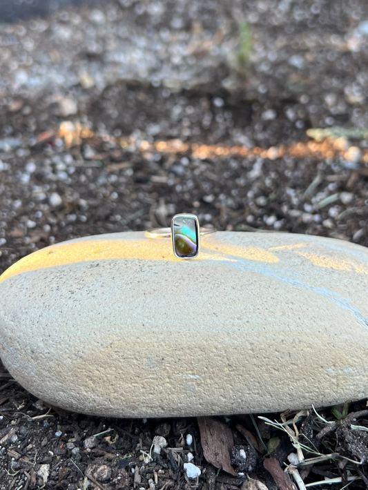 rectangle with a small green gemstone in the center on a bed of soil.