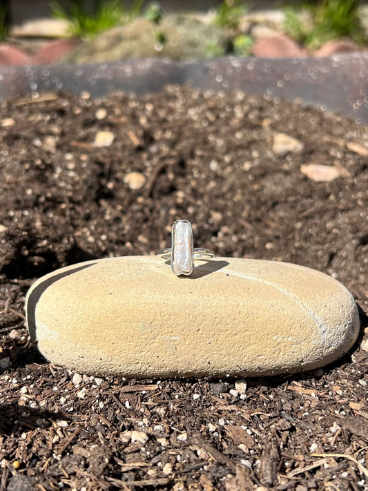 ring sitting on a rock in a garden