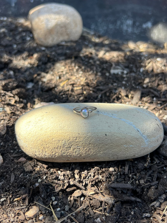 A small silver ring with a pearl rests on a smooth beige stone, which is placed on dark soil in an outdoor garden setting.