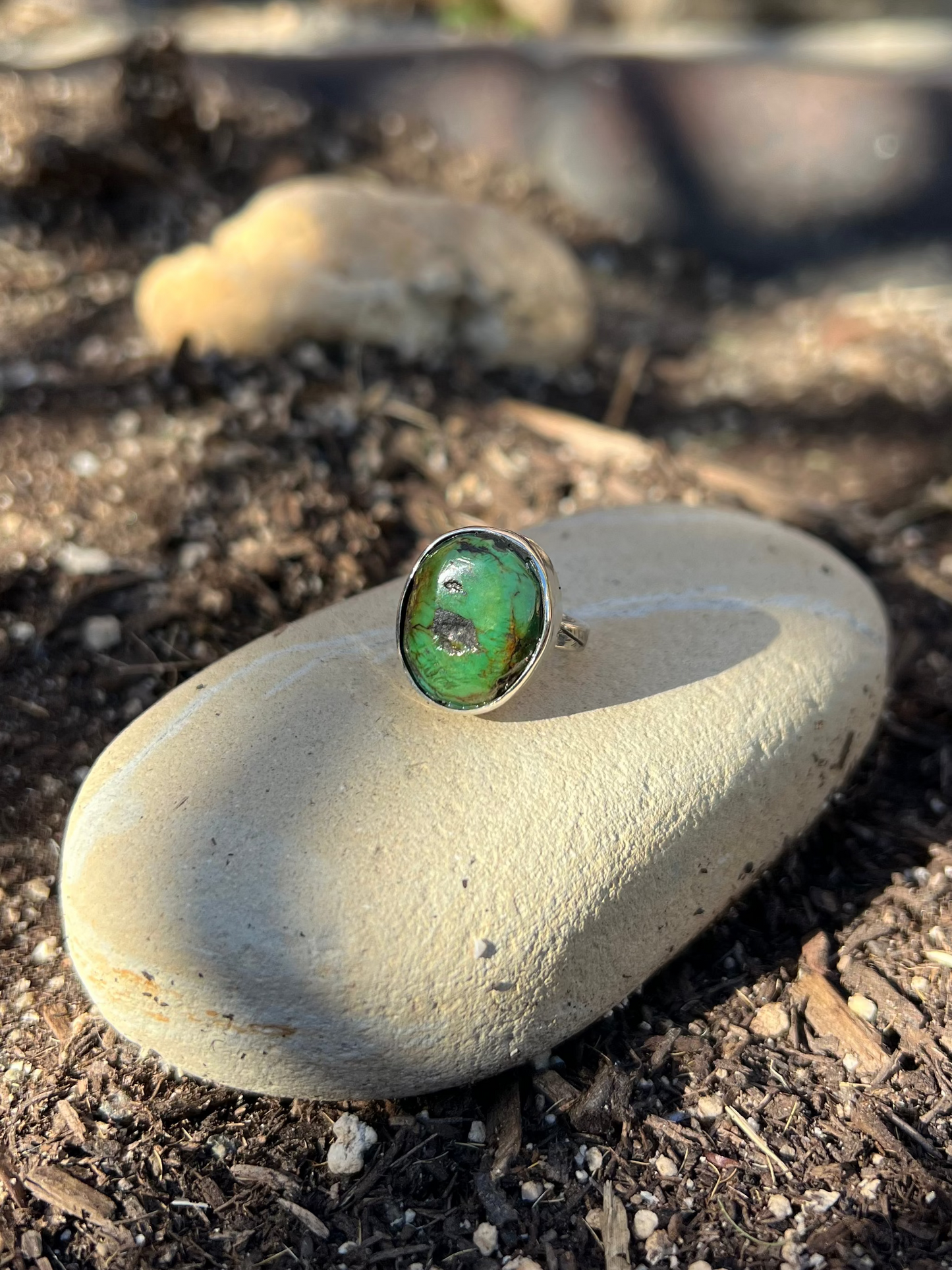 Green ring on a rock in a garden setting