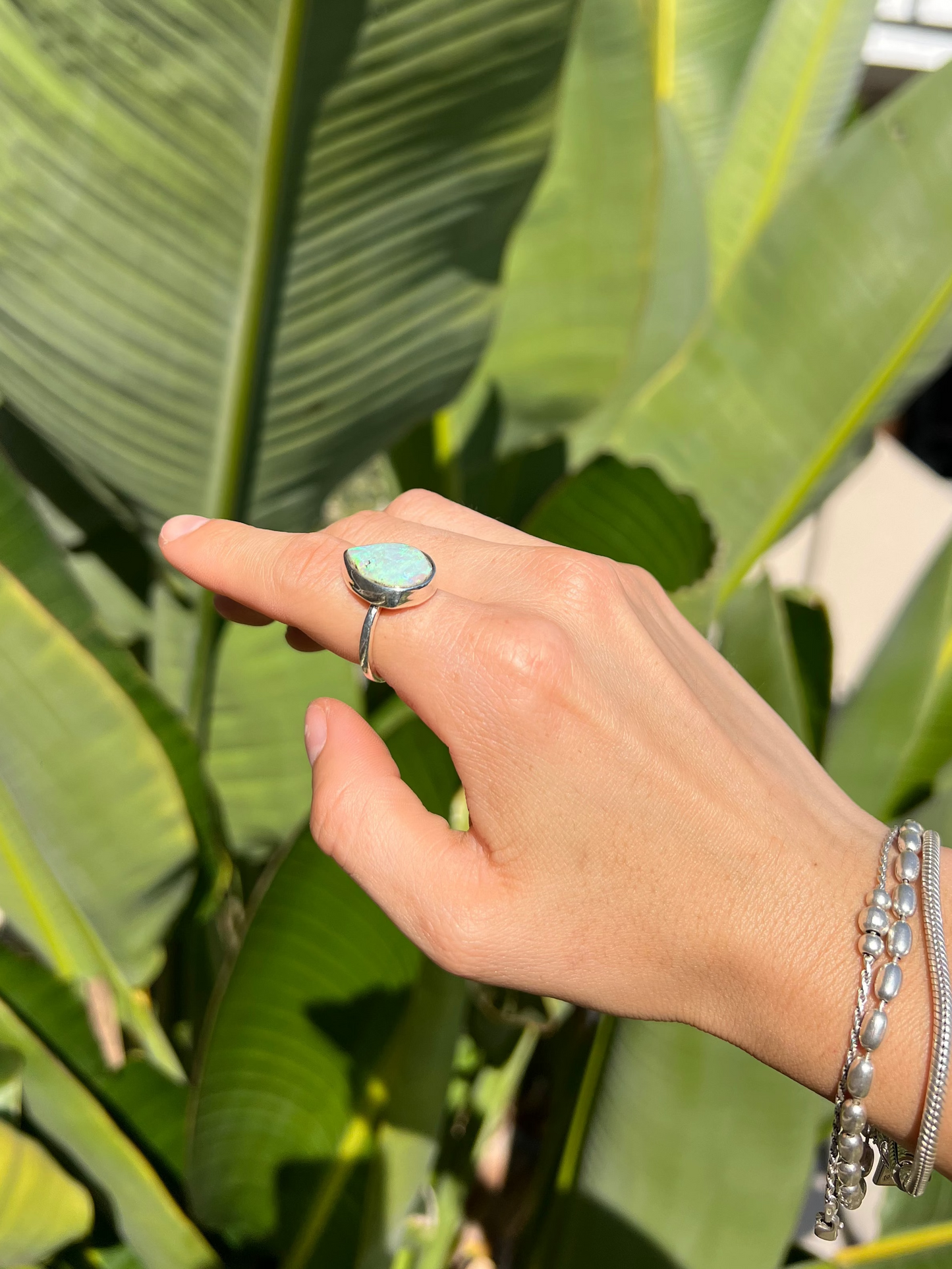 Hand with a ring and bracelet touching a large green leafy plant