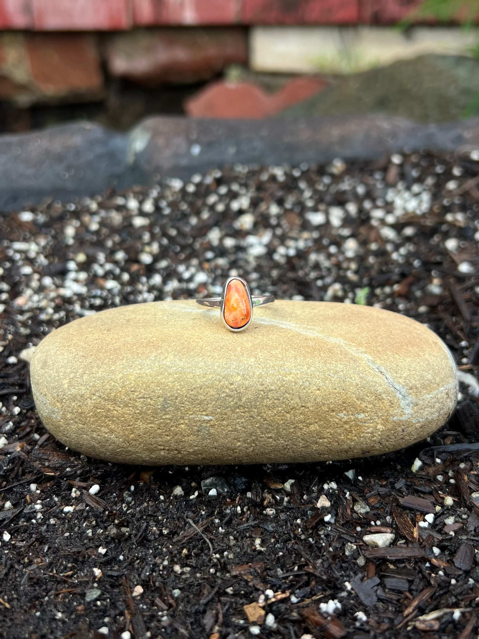 Round stone with a small orange object on top of dark soil