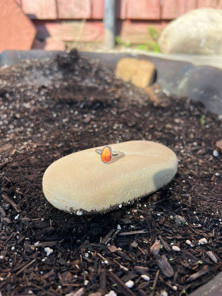 Ring on a rock in a garden setting