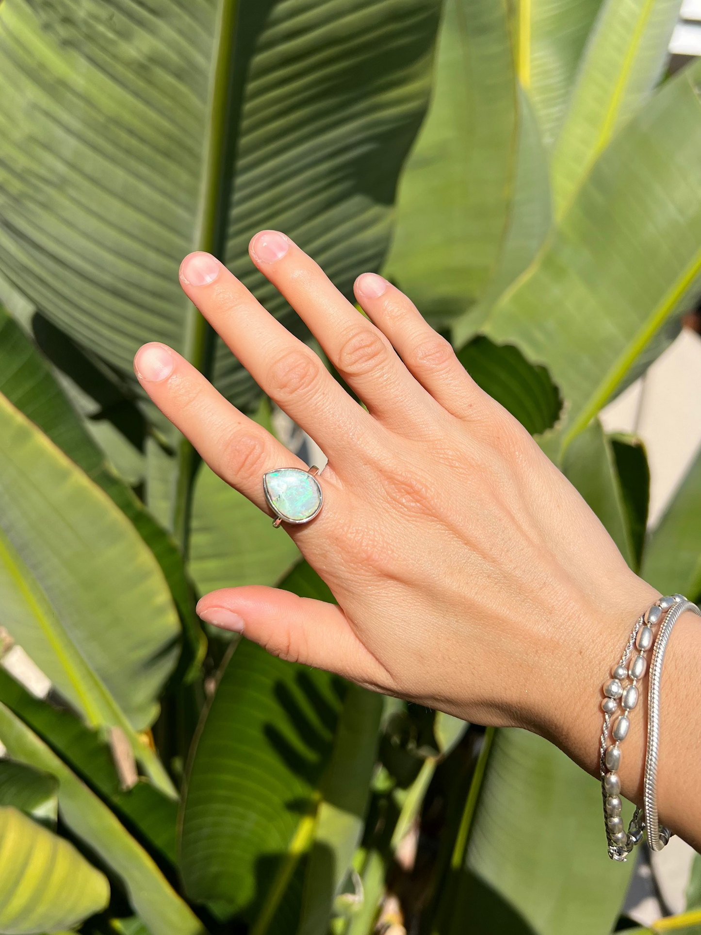 Hand with a ring on a leafy green background
