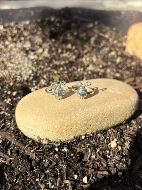 Silver rings on a stone in a garden setting